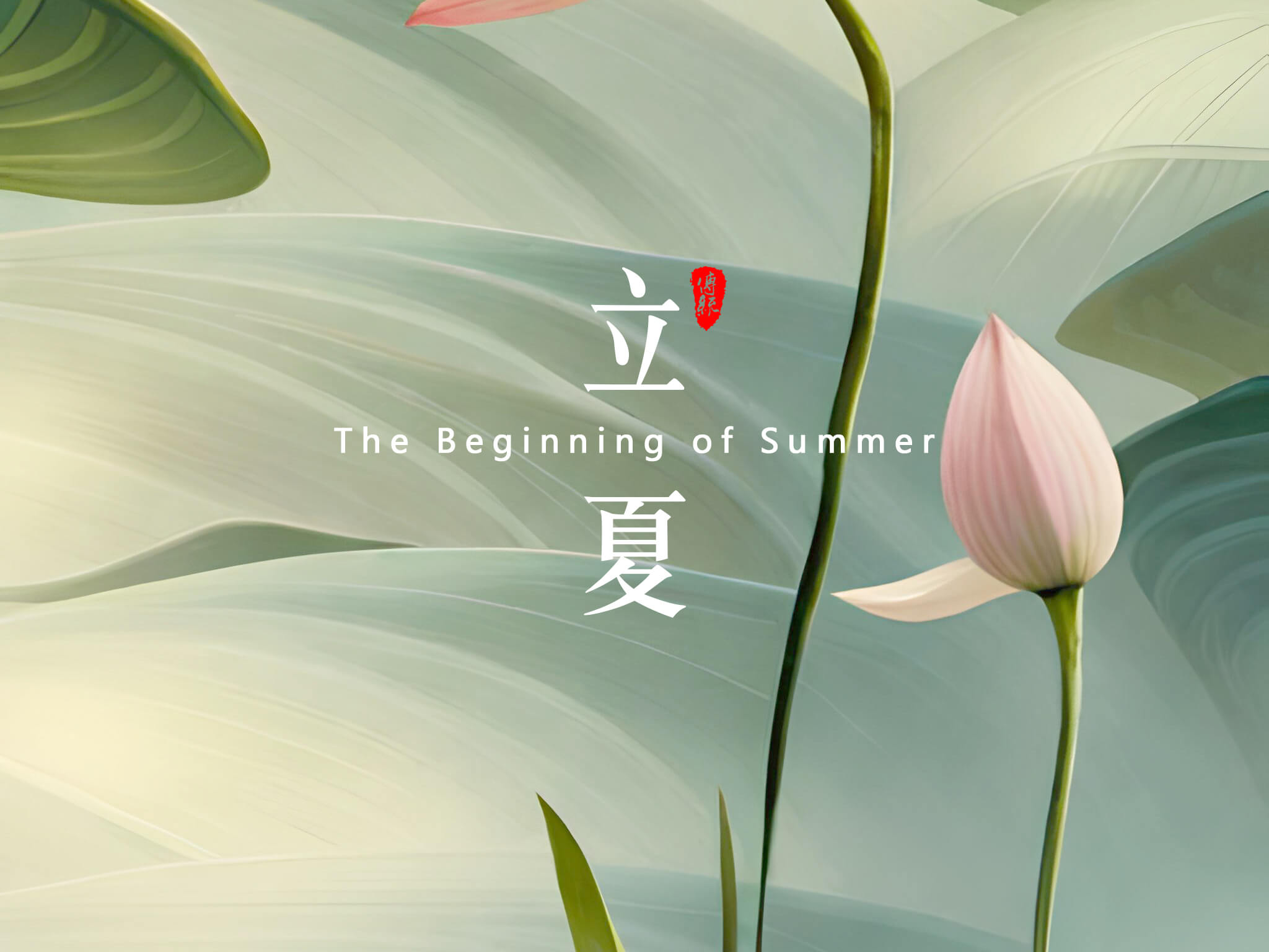 立夏：夏天的开始！